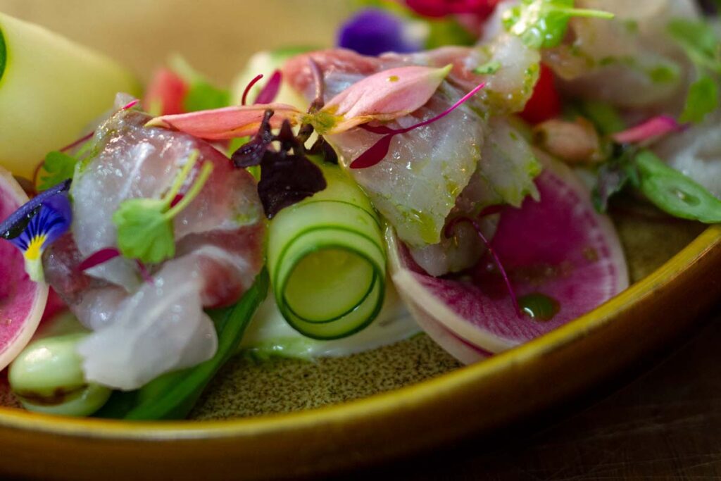 Gourmet barramundi dish